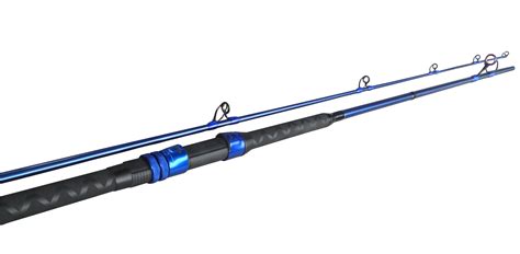 5 Best Surf Rods For The Money
