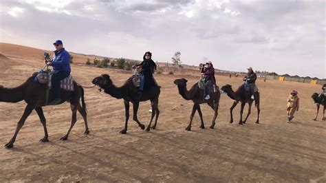 Bus ride through the andes: Xaluca camel ride on the Erg Chebi sand dunes - January ...