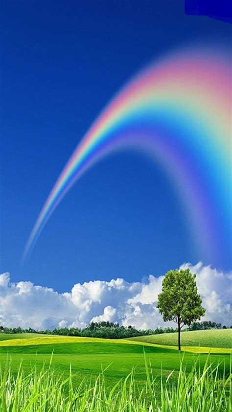 Rainbow Nature Tree Hd Phone Wallpaper Peakpx