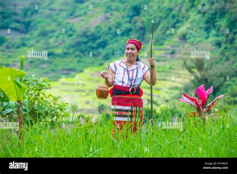 Woman From Ifugao Minority Near A Rice Terraces In Banaue The