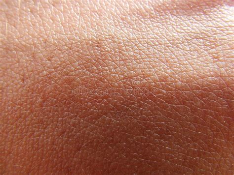 Skin Texture Human Shot At Macro Aff Texture Skin Human