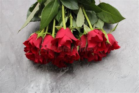 A Bunch Of Roses Stock Photo Image Of Flowers Beauty 23828490