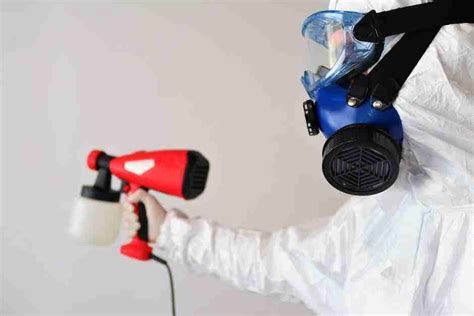 Diy Vs Professional Mold Removal Which Is Better Hawk Attic Mold