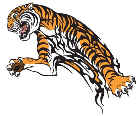 Top 60 Jumping Tiger Clip Art Vector Graphics And Illustrations Istock