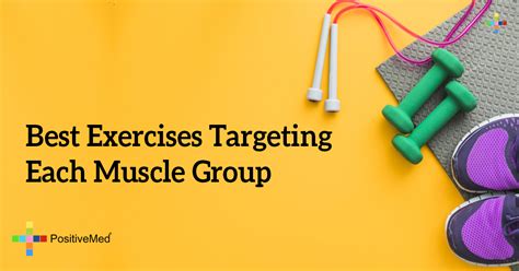 Best Exercises Targeting Each Muscle Group