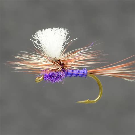 Purple Haze Fly Fish Food Fly Tying And Fly Fishing