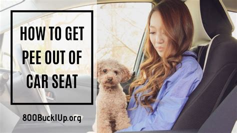 How To Get Pee Out Of Car Seat Everything You Must Know