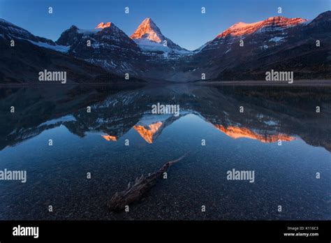 Mount Assiniboine Reflected In Lage Magog At Sunrise Mount Assiniboine