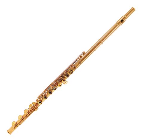 Trevor James Virtuoso 24k Gold Bonded Flute