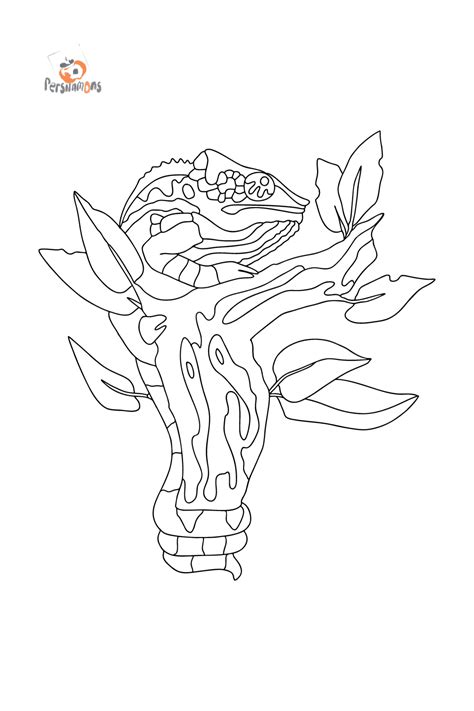 Chameleon on a branch - Chameleons coloring pages online