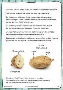 Pin auf Erzieherin