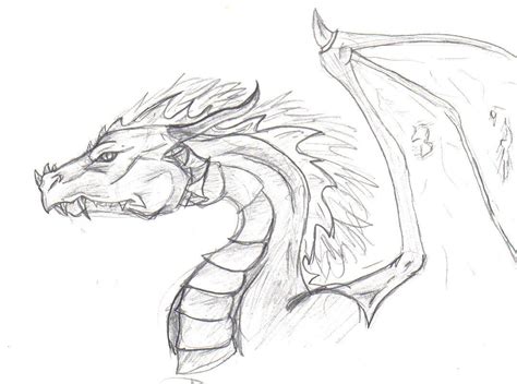 Dragon Head Sketch By Canislupes On Deviantart