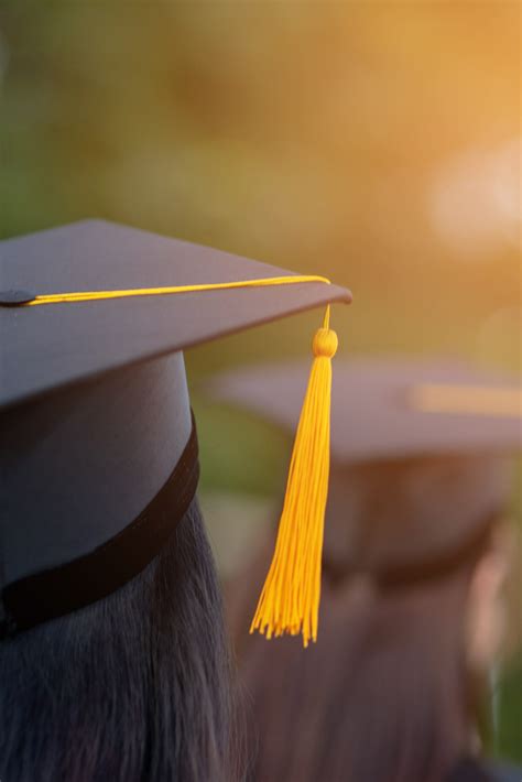 Understanding Psychology through Online Psychology Degree Program