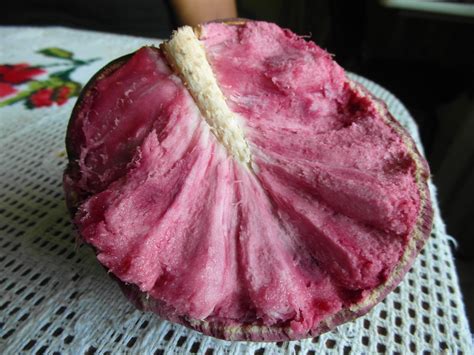 Frutas Que Começa Com A Letra I