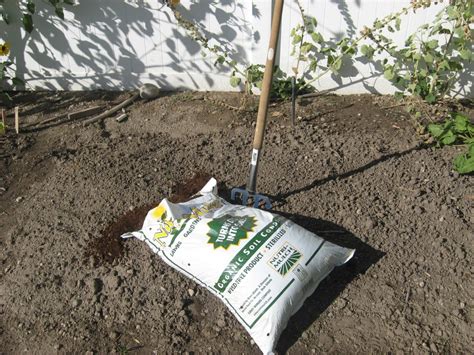 They tend not to dry out as fast, and they also tend. Year-Round Garden Soil Preparation