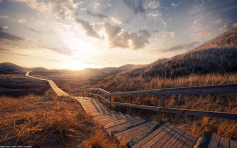 Pathways to wellness provides information on natural health solutions for body, mind and spirit. nature, Path Wallpapers HD / Desktop and Mobile Backgrounds