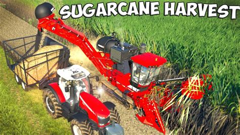 Farming Simulator 19 Sugarcane Harvest Case Ih Austof 8800 Multi