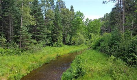 Wandering His Wonders: Itasca State Park--Birthplace of the Mississippi