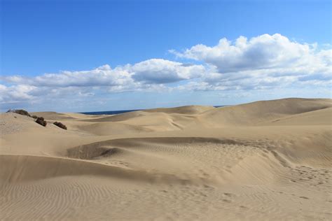 Free Images Landscape Desert Dune Material Grassland Habitat