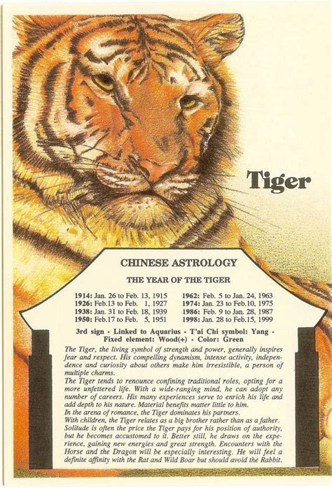 Vintage Chinese Astrology Postcard Tiger From Zodiac Unlimited