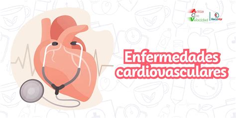 Enfermedades Cardiovasculares ¿cuáles Son Las Más Comunes