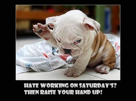 Most of us know, unfortunately. Quotes about Work on saturday (46 quotes)