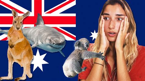 Ranking Dangerous Australian Wildlife Tier List Youtube