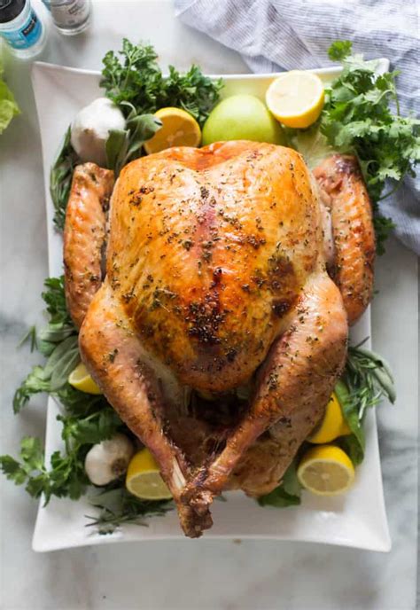 Males of both turkey species have a distinctive fleshy wattle, called a snood, that hangs from the top of the beak. Easy, No-Fuss Thanksgiving Turkey - Tastes Better From Scratch