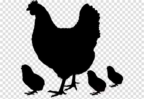 Free Poultry Silhouette Cliparts Download Free Poultry Silhouette