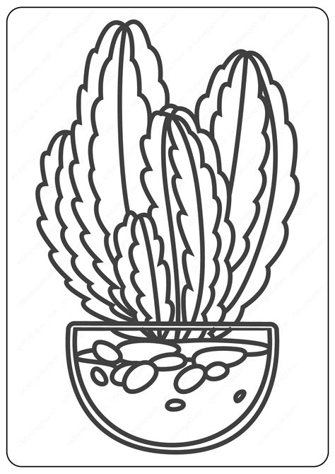 Explore 623989 free printable coloring pages for your kids and adults. Cute Prickly Cactus Coloring Pages Book