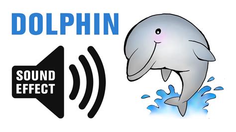 Dolphin Sound Effect Whistles Youtube