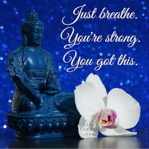 Just Breath You Will Can Do This Just Breathe Buddhist Wisdom You