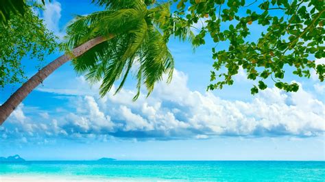 Resortes De Playa Tropical Paisaje De Verano Fondo De Pantalla Hd