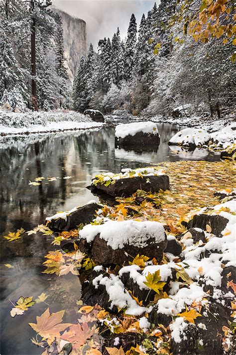 Fall Into Winter Eloquent Images By Gary Hart