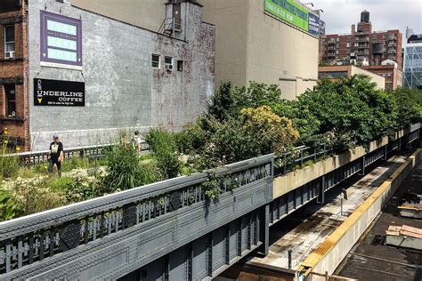Chelsea High Line Public Park Is One Of The Free Things To Do In New