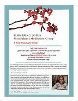 Pictures of Flowering Lotus Meditation Center