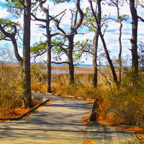 Assateague State Park Maryland Maryland State Parks Places To Visit