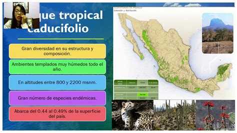 Tipos De Ecosistemas Que Existen En Mexico