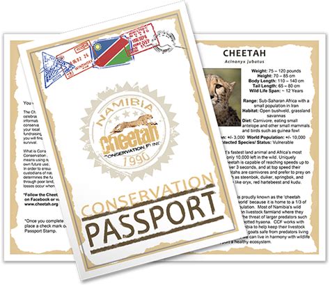 Cheetah Conservation Passport for International Cheetah Day | Cheetah ...