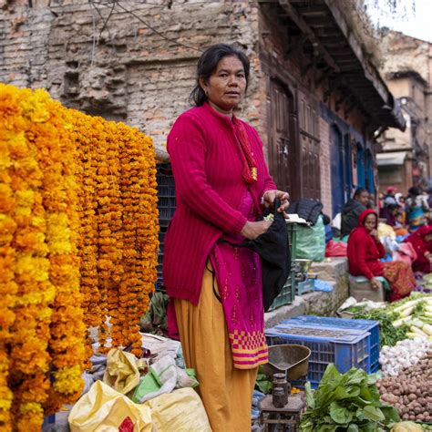 Tihar Festival Nepal Buy Images Of Nepal Stock Photography Nepal