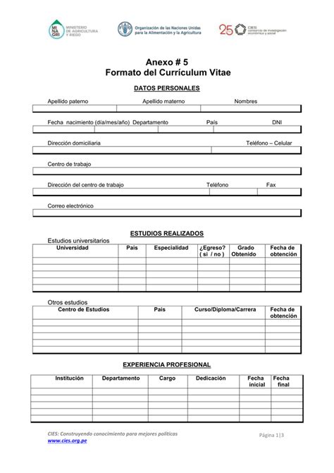 Anexo 5 Formato Del Currículum Vitae Datos Personales