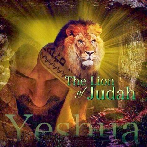 Yeshua Lion Of Judah Jesus Lion Of Judah Tribe Of Judah