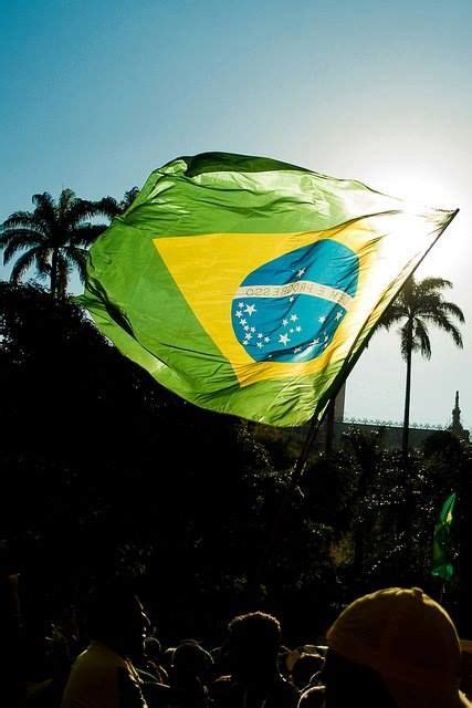 fotos da bandeira  brasil  papel de parede fotos