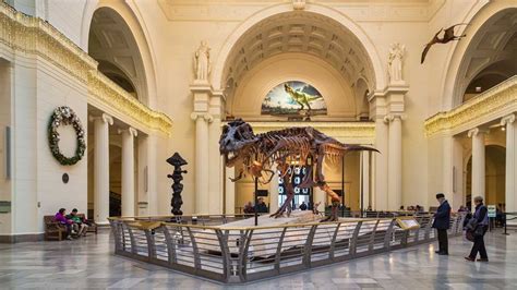 20 Best Museums In Chicago A Locals Favorites In 2023 Travel Lemming