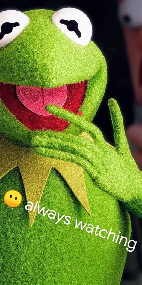 Tons of awesome 1080x1080 wallpapers to download for free. Kermit wallpaper by Gablecona - 80 - Free on ZEDGE™