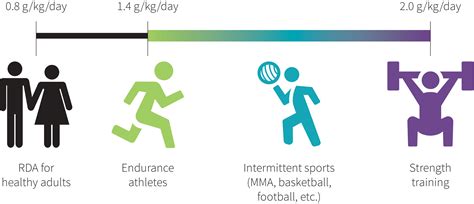This free protein calculator estimates the amount of protein a person needs each day to remain the amount of protein that the human body requires daily is dependent on many conditions recommended dietary allowance (rda) of protein, based on age. Should one gram per pound be the new RDA for bodybuilders ...