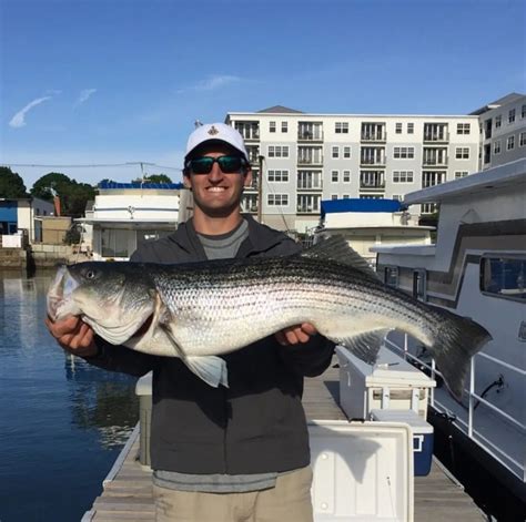 Striper Fishing Ocean From The Shore Smooth Angler