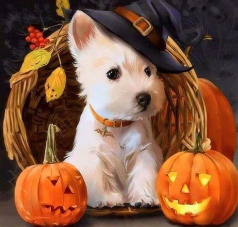 Cute Happy Halloween Puppy Pictures 2018 For Wallpaper Hd 1080p