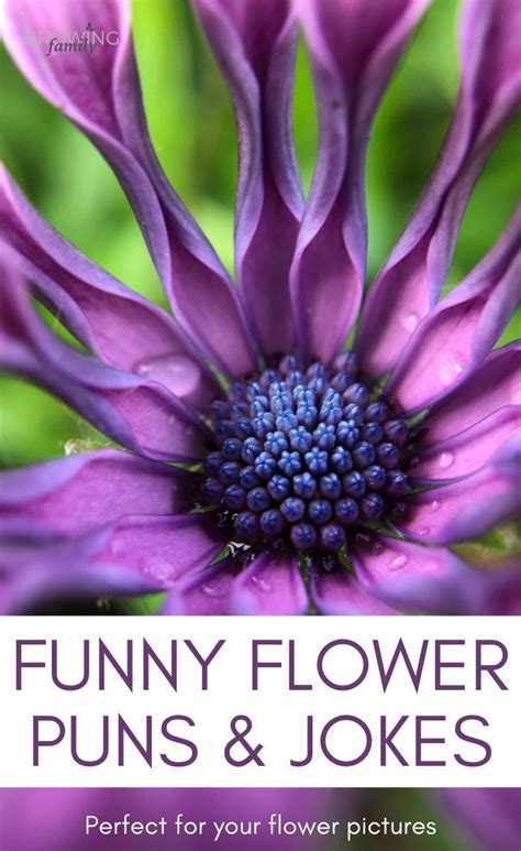 Flower Puns And Flower Jokes To Make You Smile Artofit