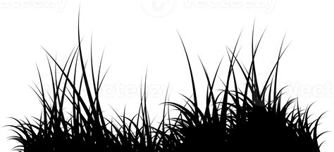 Grass Silhouette Png 16583612 Png